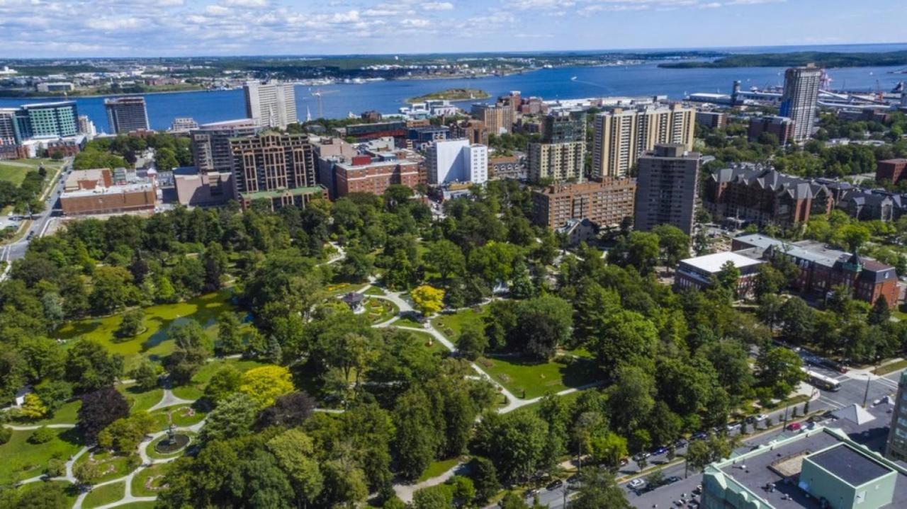 In The Heart Of Downtown Hfx Apartment Halifax